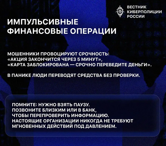 photo_5238169727006347586_y