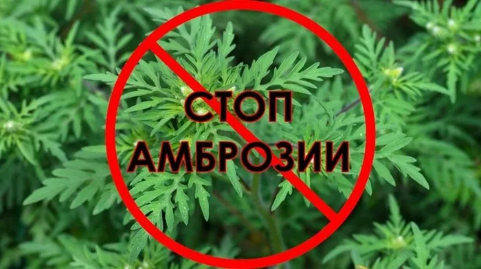 foto-2024-10-11-16-15-001